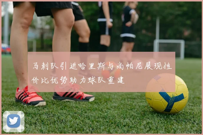 马刺队引进哈里斯与尚帕尼展现性价比优势助力球队重建