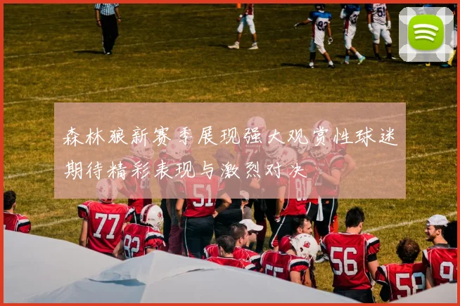 森林狼新赛季展现强大观赏性球迷期待精彩表现与激烈对决