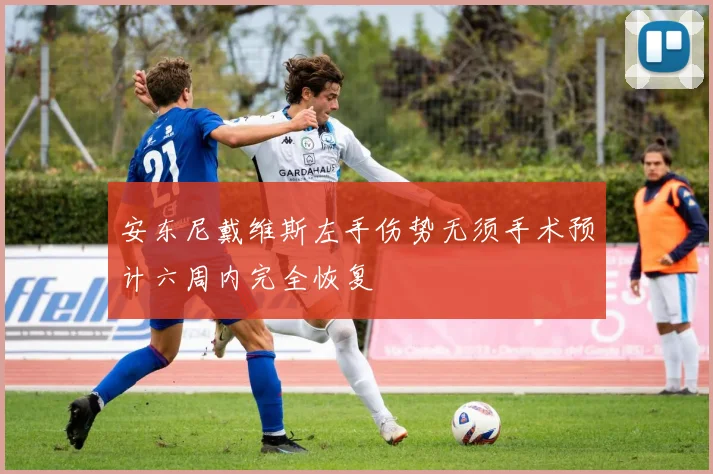 安东尼戴维斯左手伤势无须手术预计六周内完全恢复