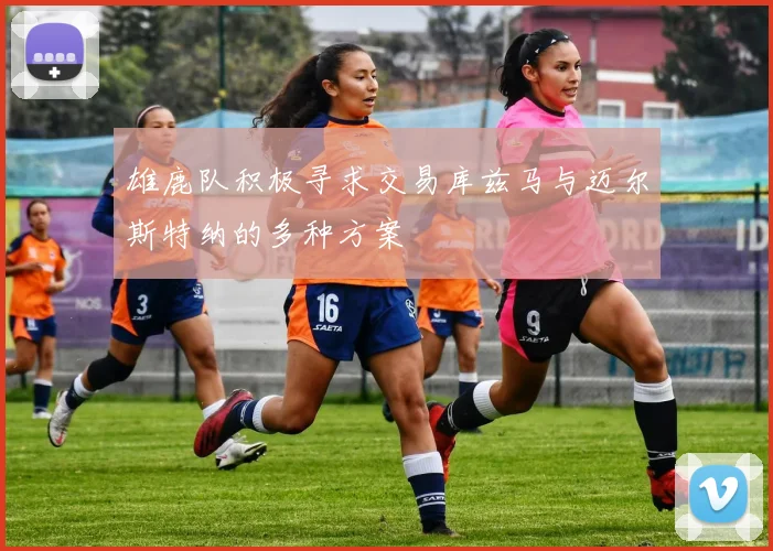 雄鹿队积极寻求交易库兹马与迈尔斯特纳的多种方案