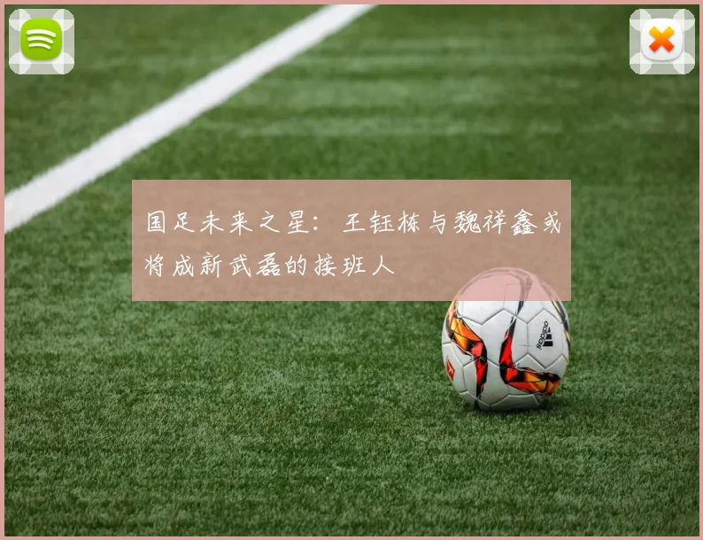 国足未来之星：王钰栋与魏祥鑫或将成新武磊的接班人